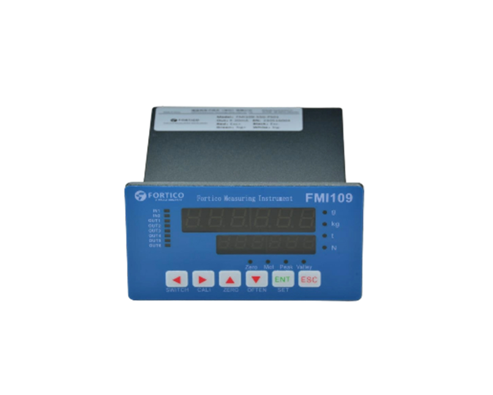 FMI109单通道显示仪表